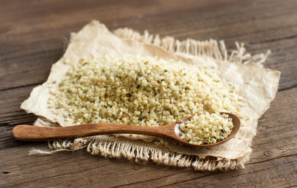 Uncooked Hemp seeds with a spoon