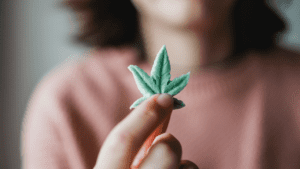 Adult Use Cannabis